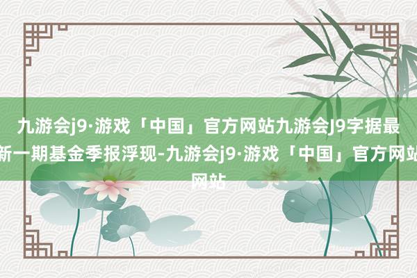 九游会j9·游戏「中国」官方网站九游会J9字据最新一期基金季报浮现-九游会j9·游戏「中国」官方网站
